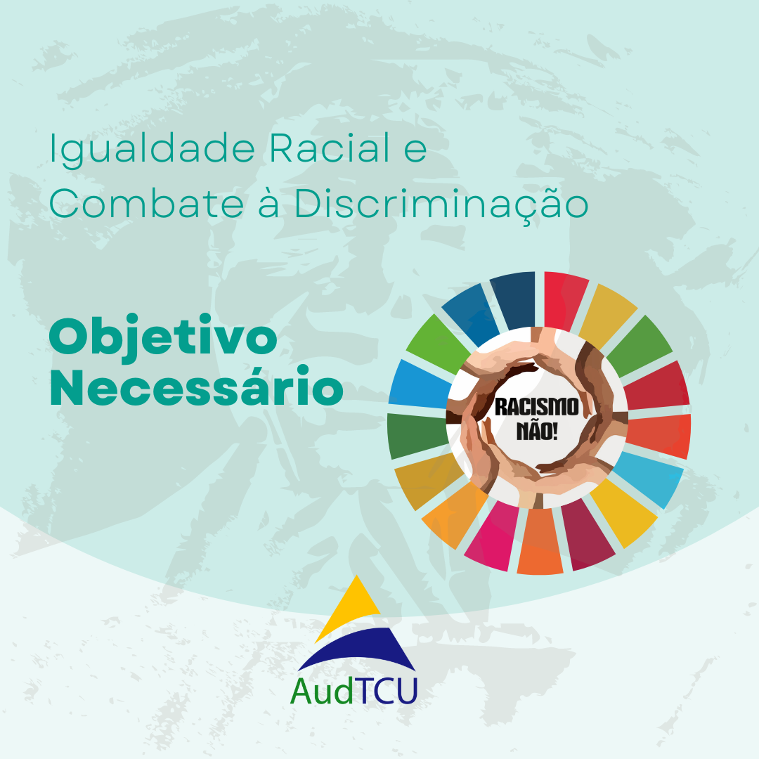 Objetivo necessário: igualdade racial e combate à discriminação